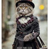 PEAKY PAWS CLUB - FELINE FINE - Tabby Cat Mini Metal Sign 15cm x 20cm Metal Signs