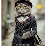 PEAKY PAWS CLUB - FELINE FINE - Tabby Cat Mini Metal Sign 15cm x 20cm Metal Signs