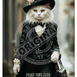 PEAKY PAWS CLUB - FELINE FINE - White Cat Blue Cat Mini Metal Sign 15cm x 20cm Metal Signs