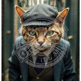 Peaky Paws Club - Ginger Cat Metal Signs