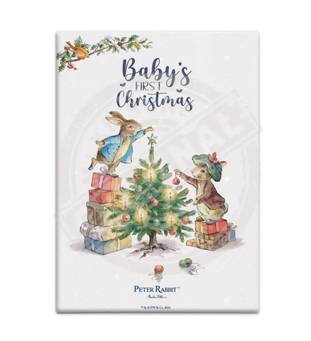 Peter Rabbit Christmas - Baby’s First Mini Metal Sign 15Cm X 20Cm Signs