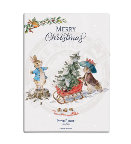 Peter Rabbit Christmas - Sleigh Mini Metal Sign 15Cm X 20Cm Signs