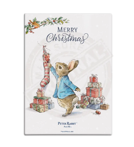 Peter Rabbit Christmas - Stocking Mini Metal Sign 15Cm X 20Cm Signs