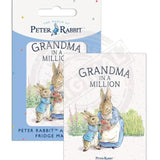 Peter Rabbit - Grandma in a million Fridge Magnet Metal Signs