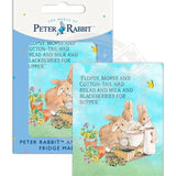 Peter Rabbit flopsy mopsy cottontail fridge magnet