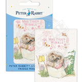 Peter Rabbit - Mrs Tiggy-Winkle Fridge Magnet Metal Signs