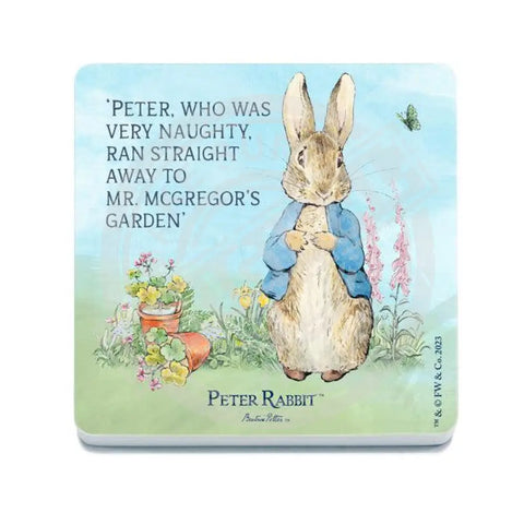 Beatrix Potter Peter Rabbit Very Naughty metal wall sign