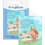 Beatrix Potter Peter Rabbit Mr McGregor scarecrow fridge magnet