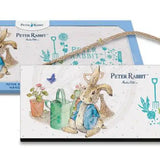 Beatrix Potter Peter Rabbit sitting next to watering can wooden sign