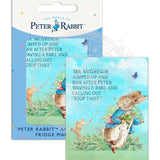 Beatrix Potter Peter Rabbit chased by Mr McGregor fridge magnet