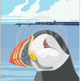 Puffin - Martin Wiscombe Metal Signs