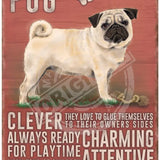 Pug dog characteristics metal sign