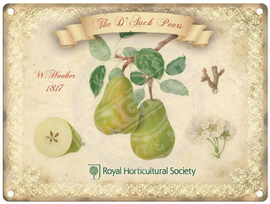 RHS Pears metal sign