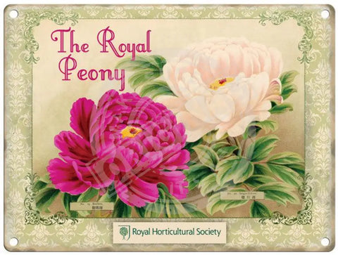 The Royal Peony metal sign