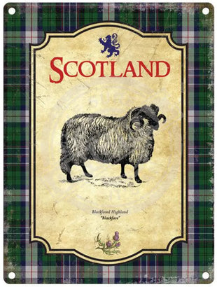 Scotland Sheep metal sign