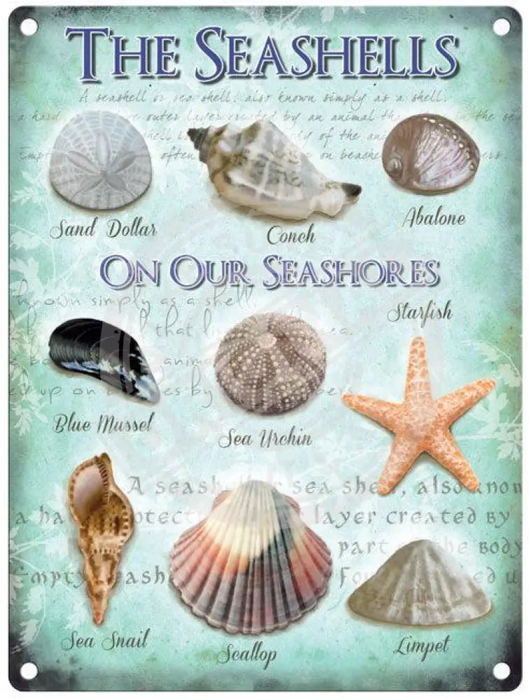 Seashell Shop Sign Seashells – The Original Metal Sign Company
