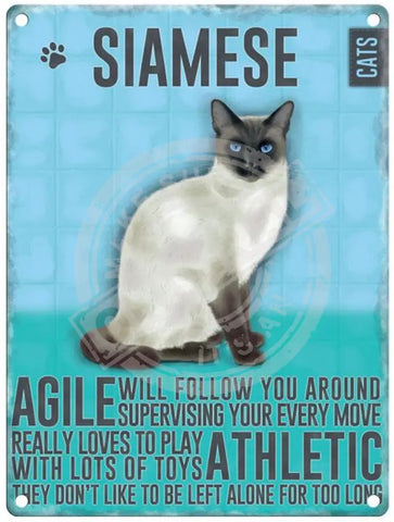 Siamese cat characteristics metal sign