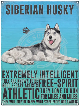 Siberian Husky dog characteristics metal sign