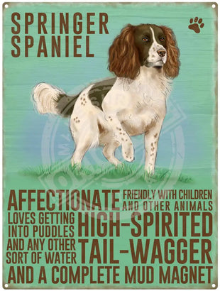 Springer Spaniel dog characteristics metal sign