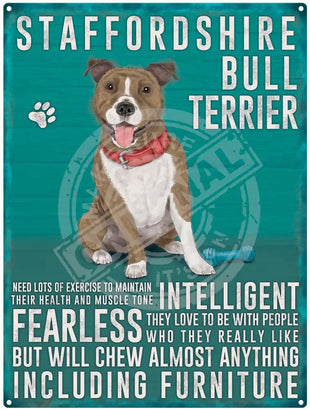 Staffordshire Bull Terrier dog characteristics metal sign