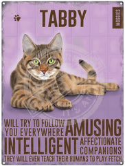 Tabby Cat Characteristics metal sign