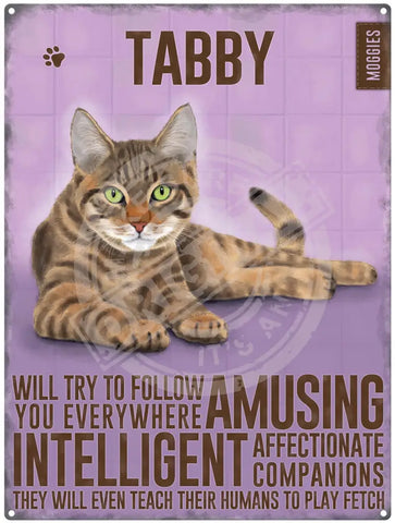 Tabby Cat Characteristics metal sign