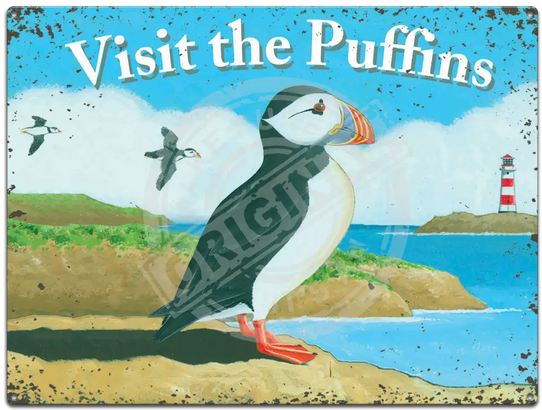 Visit The Puffins - Martin Wiscombe Metal Signs