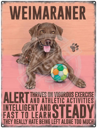 Weimaraner dog characteristics metal sign