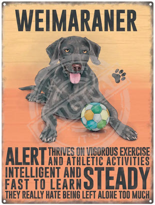 Weimaraner dog characteristics metal sign