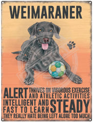 Weimaraner dog characteristics metal sign