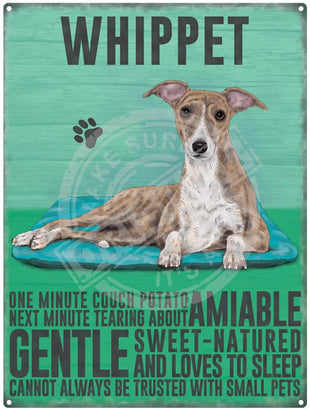 Whippet dog characteristics meta sign