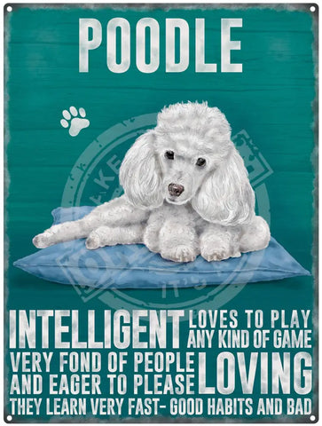 White Poodle dog characteristics metal sign