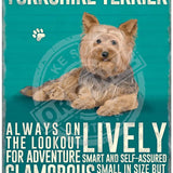 Yorkshire terrier dog characteristics metal sign