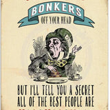 You’re Mad Bonkers Large Metal Sign 30Cm X 40Cm Signs