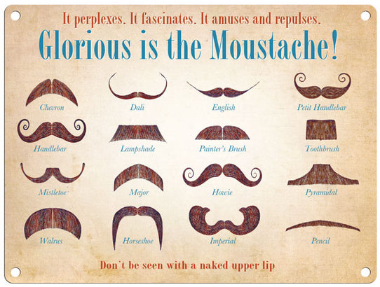 Glorious Moustache - Martin Wiscombe