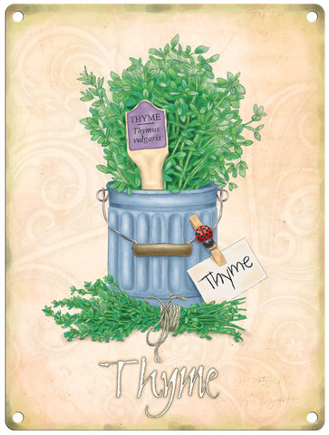 Thyme herbs in pot metal sign