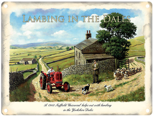 Lambing in the Dales metal sign