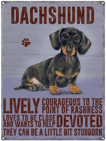 Dachshund dog characteristics metal sign