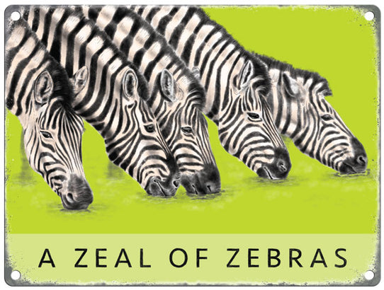 A Zeal of Zebras metal sign