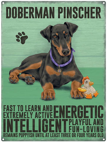 Doberman Pinscher dog characteristics metal sign