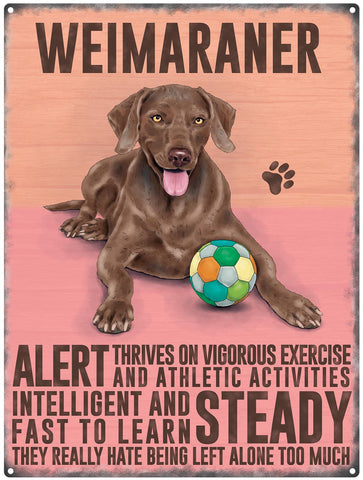 Weimaraner dog characteristics metal sign