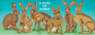 A Husk Of Hares