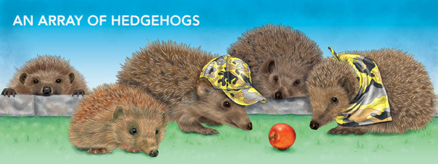 An array of hedgehogs