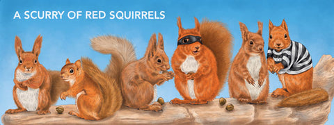 A Scurry Of Red Squirrels