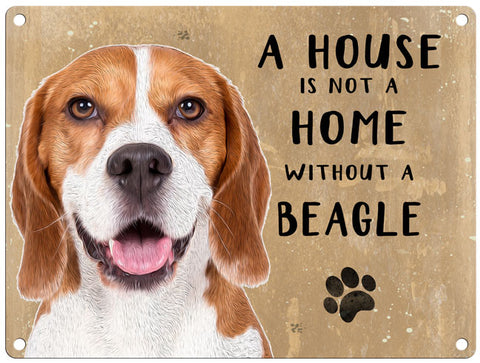House is not a home without a beagle