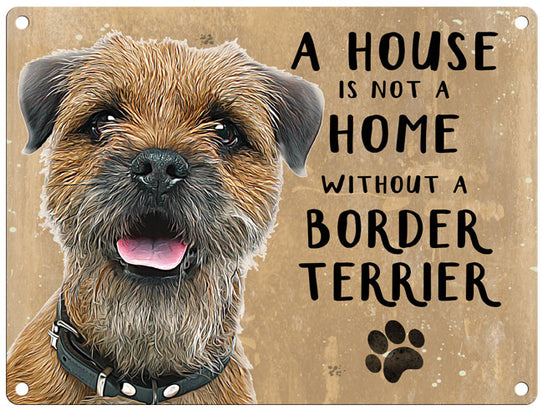 House is not a home - Border Terrier