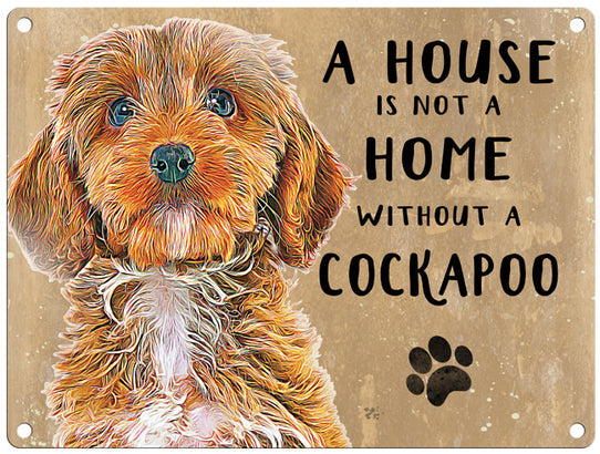 House is not a home - Cockapoo