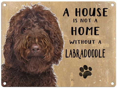 House is not a home - Brown Labradoodle