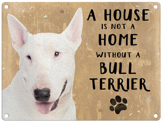House is not a home - Bull Terrier