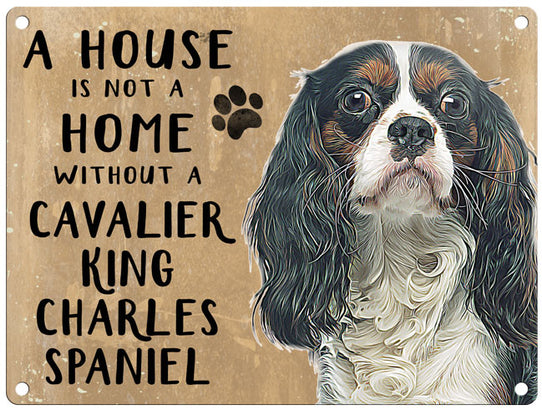 House is not a home - Cavalier King Charles Spaniel